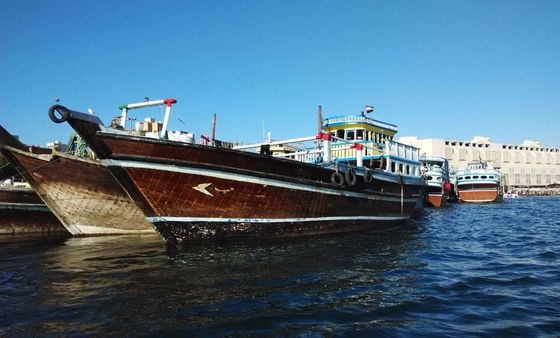 MATSON EMC Fast Sea Freight China Amazon FBA Shipping Agent To USA