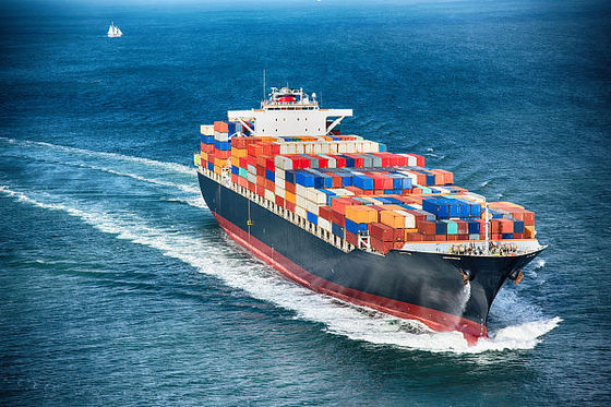 Fast Matson Shipping FCL LCL Reliable Sea Shipping Agent To USA