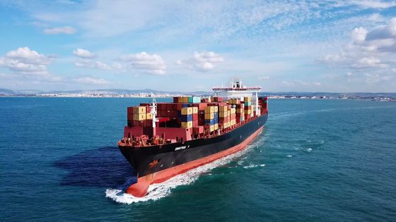 Matson Sea Freight Shipping DDP Door To Door Shipping Agent