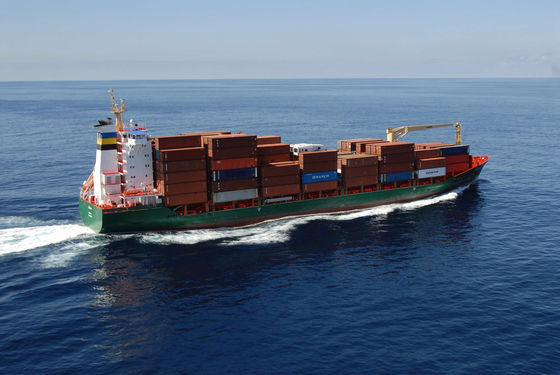Ocean Container Shipping Forwarder For All Types Packaging