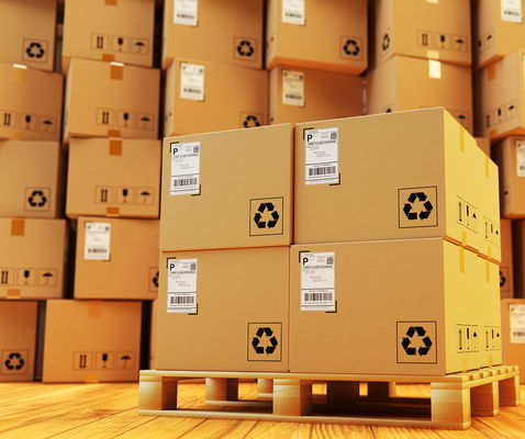 HPL Customs Brokerage & Clearance Door To Door Sea Shipping From China To USA