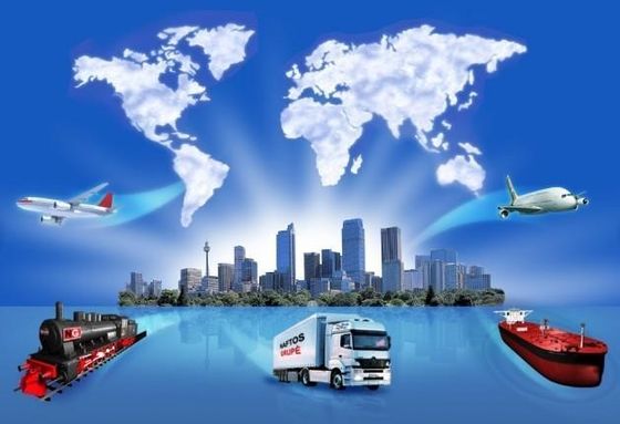 Less Container Load DDU DDP Sea Shipping From China To Usa