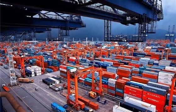 China To America FCL Container Shipping DDU DDP Terms Fast Freight Forward