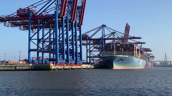 Shenzhen Amazon FBA Shipping Agent DDU DDP Freight Rates From China To North American