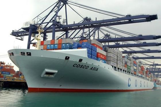 20GP 40GP 40HQ 40NOR 45HQ FCL Container Shipping China To North American