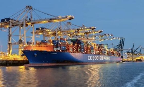 Amazon Sea Freight for USA Fast Delivery with 20GP/40GP/40RH/40HQ/45HQ Container Size