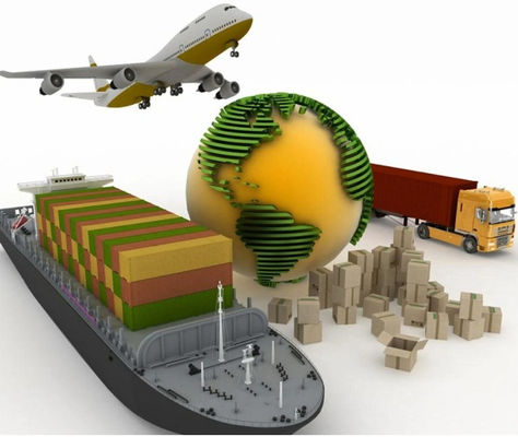 Professional Sea Shipping Service From Shanghai Ningbo Qingdao Yantian Tianjin Xiamen