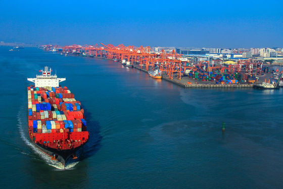 International 20FT 40FT FCL Ocean Sea Freight Forwarder Shipping From China To USA