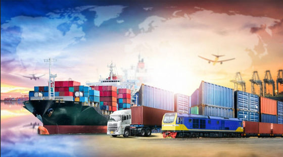 Professional FBA Shipping To Canada USA DDU DDP Rates Sea Freight Forwarder