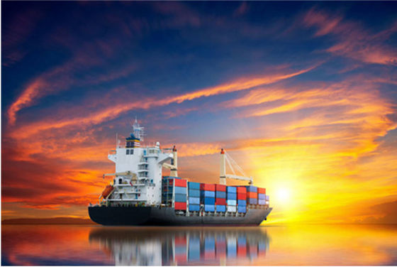 Customs Clearance DDP Sea Shipping From China To USA Canada