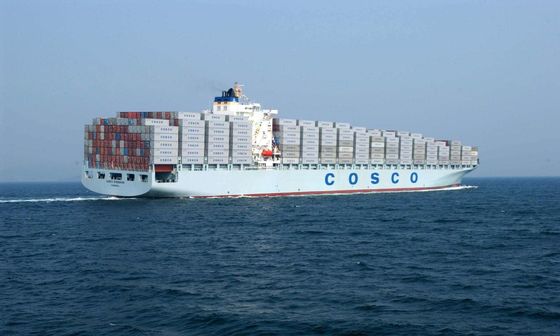 DDU Amazon FBA Professional Freight Forwarder Shipping Agent From China To USA