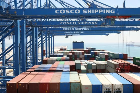 Sea Freight From China To North American With Custom Clearance And Consolidation