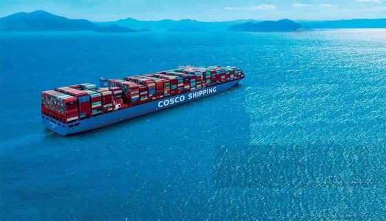 2-4 Weeks Delivery Logistics Sea Freight Shipping Services From China To Usa