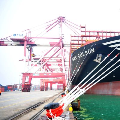 Fast International Shipping FCL/LCL With 15-30 Days Transit Time Optional Insurance