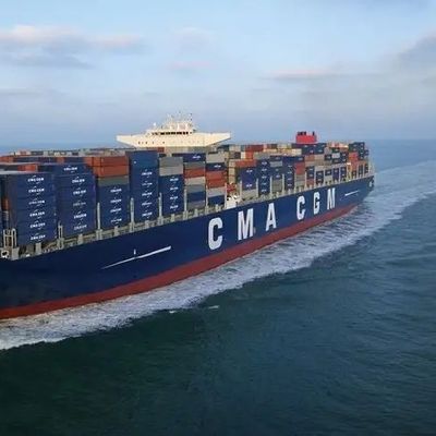 Insurance Available LCL Container Shipping Services With Varying Payment Methods