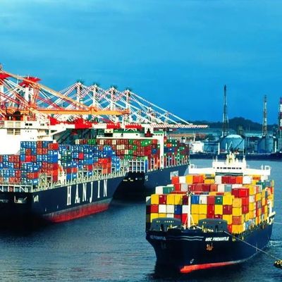 Optional Warehousing & Packaging Services FBA Shipping For Varying Sizes