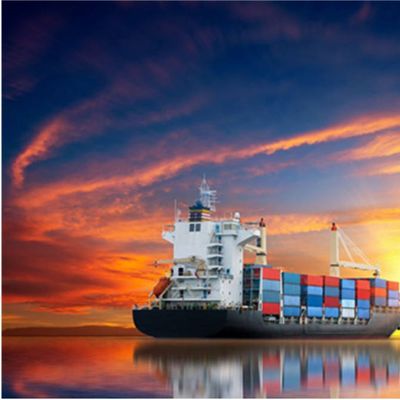 LCL Ddp Shipping Service To USA / CANADA FBA Service Insurance Available
