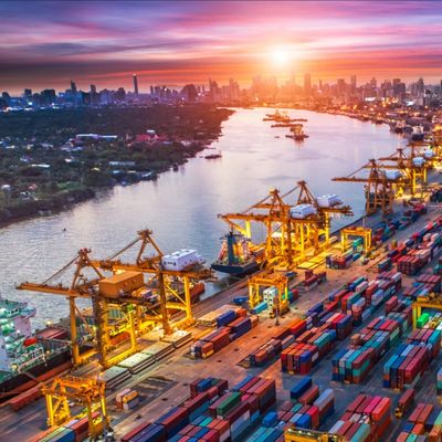 Fcl / Lcl Ddu Shipping Service 20gp / 40gp / 40hq / 45hq Bank Transfer Payment
