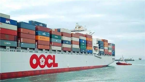 International Walmart Shipping From Shanghai Ningbo Xiamen Foshan Lingyi Qingdao Lianyungang