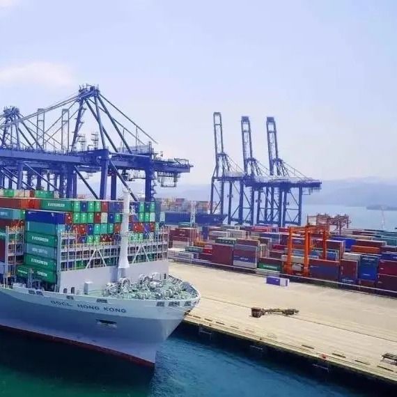 Fast Reliable FCL Container Shipping With T/T/L/C/D/P Payment Terms Standard